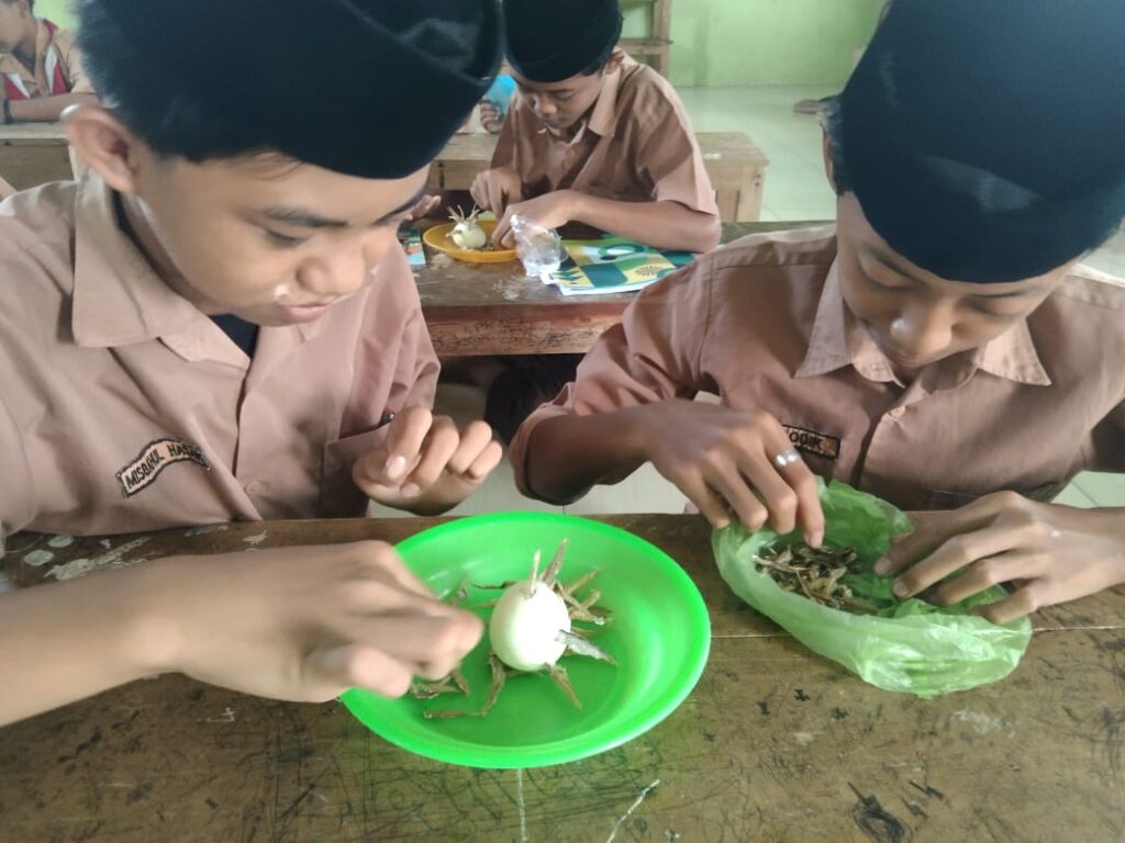 Siswa Kelas IX MTs Miftahul Ulum Buwek Lakukan Praktikum Sistem Reproduksi dengan Media Sederhana Siswa Kelas IX MTs Miftahul Ulum Buwek Lakukan Praktikum Sistem Reproduksi dengan Media Sederhana